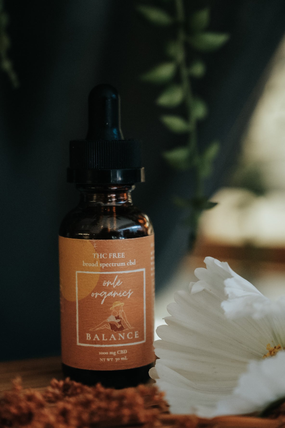 Everyday Balance CBD for Women and Children