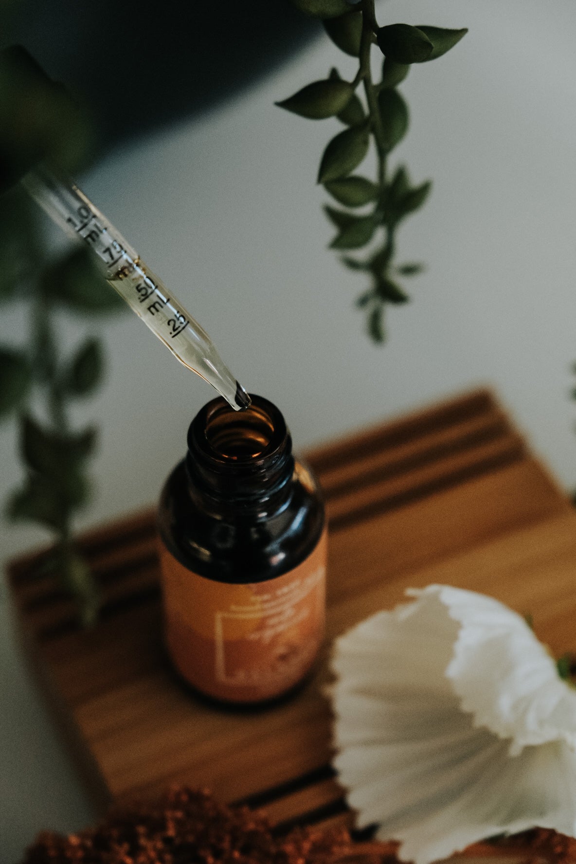 Everyday Balance CBD for Women and Children