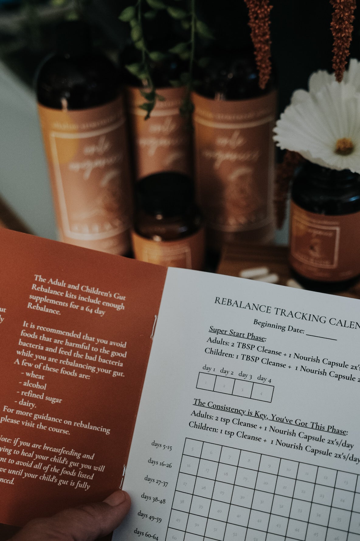 Women's Gut Rebalance Kit