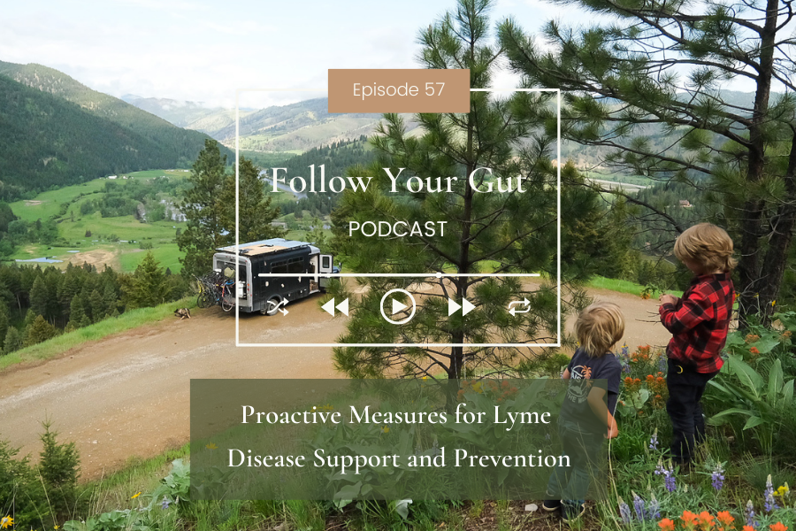Proactive Measures for Lyme Disease Support and Prevention