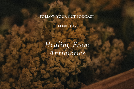 Healing from Antibiotics