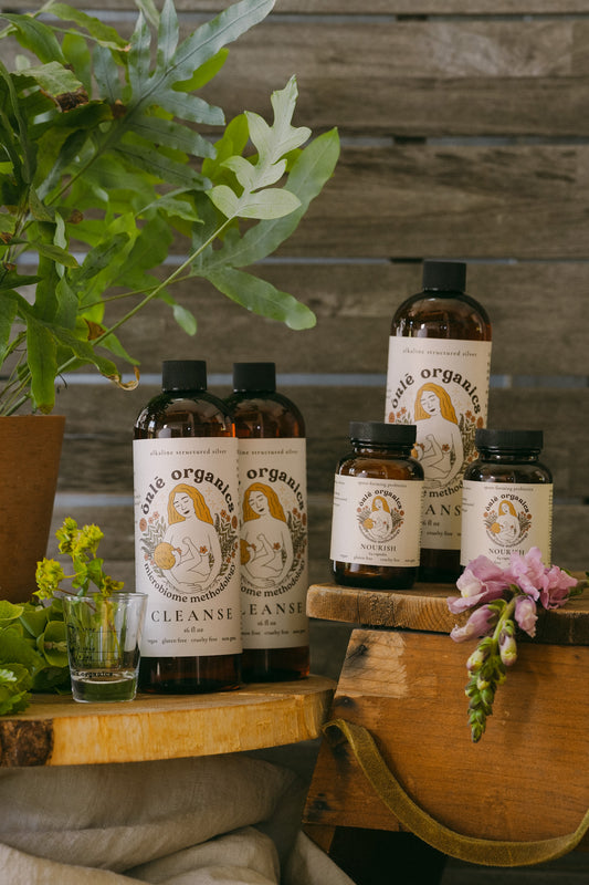 Women's Gut Rebalance Kit